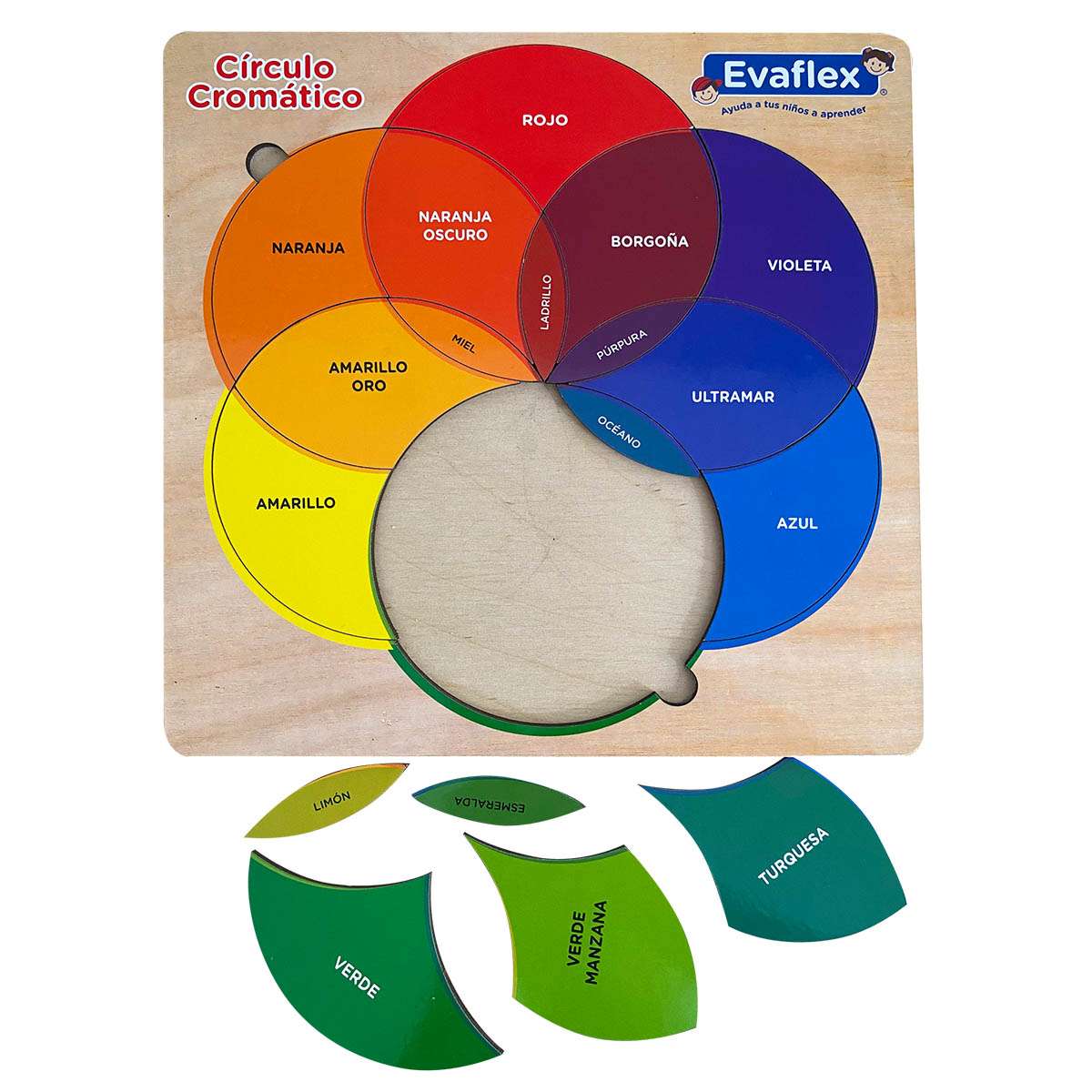 Círculo Cromático Evaflex - Imagen 2
