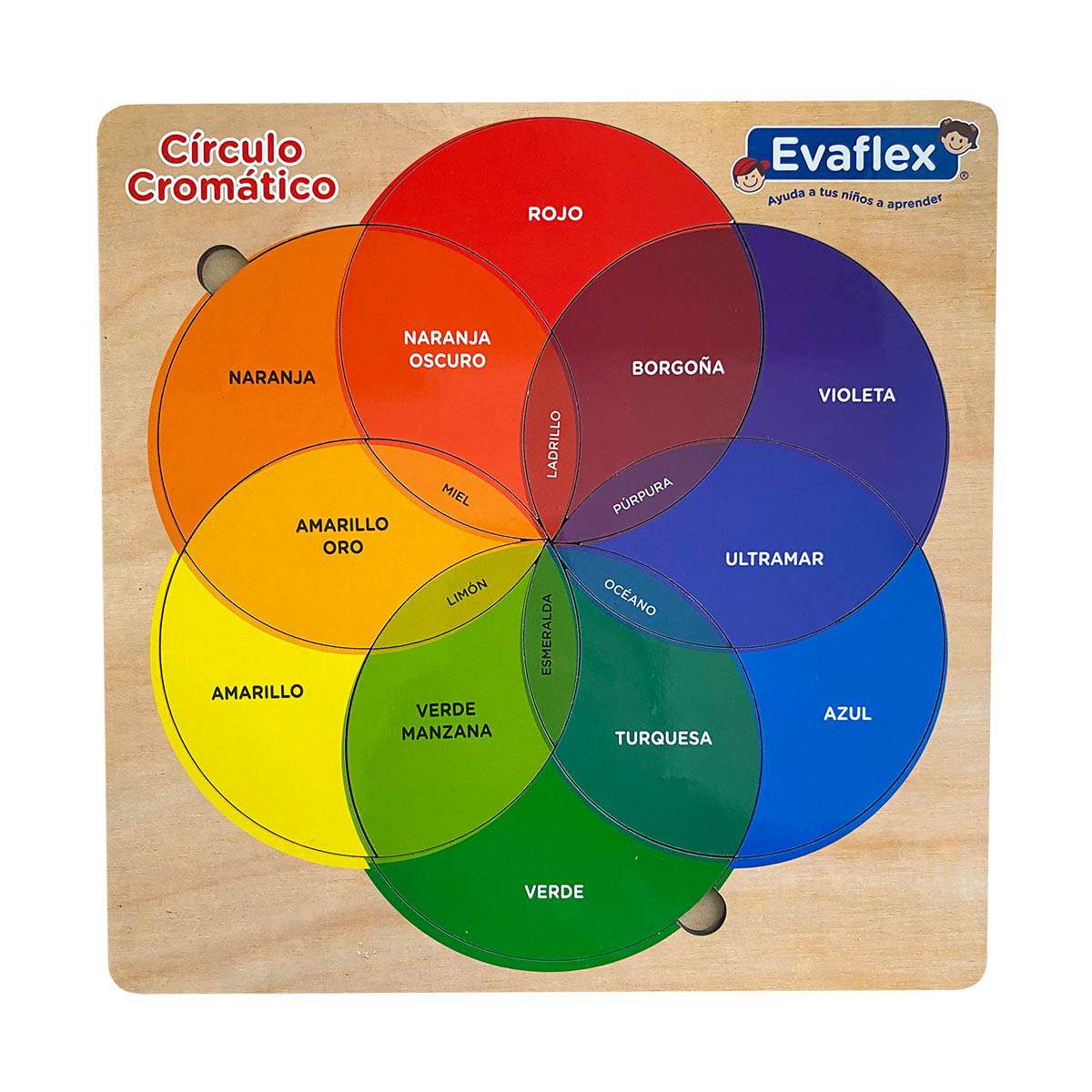 Círculo Cromático Evaflex